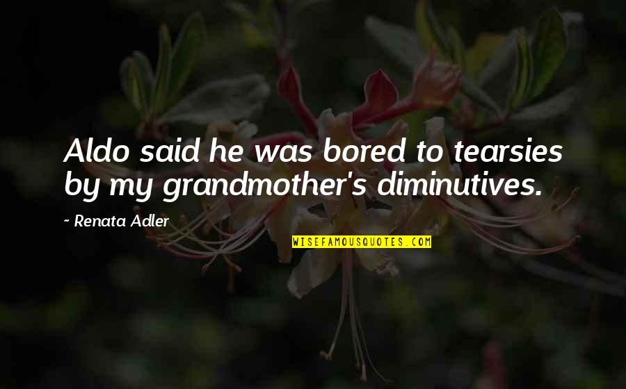 The Best Grandmother Quotes By Renata Adler: Aldo said he was bored to tearsies by