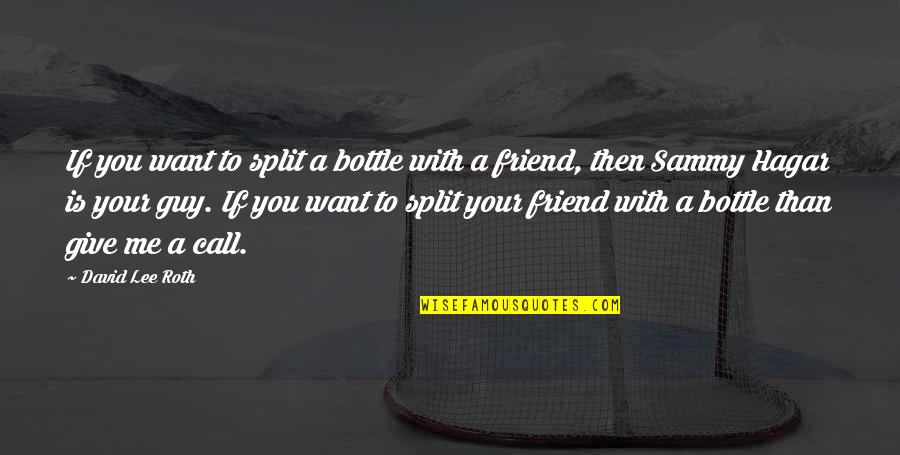 The Best Guy Friend Quotes By David Lee Roth: If you want to split a bottle with