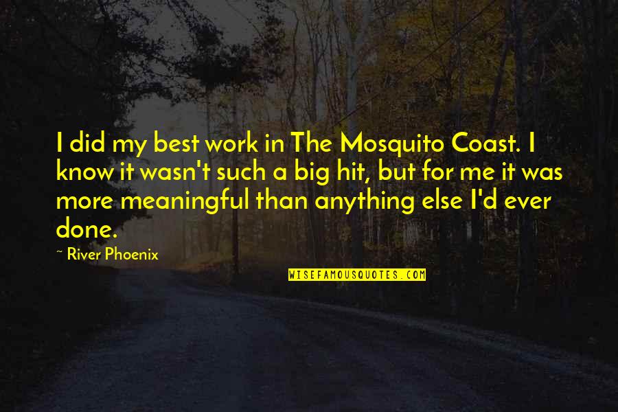 The Best Hit Quotes By River Phoenix: I did my best work in The Mosquito The Best Hit Quotes By River Phoenix: I did my best work in The Mosquito