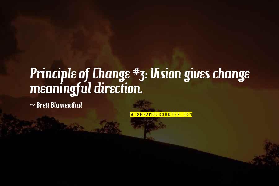 The Best Meaningful Quotes By Brett Blumenthal: Principle of Change #3: Vision gives change meaningful