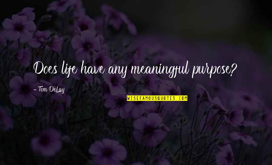 The Best Meaningful Quotes By Tom DeLay: Does life have any meaningful purpose?