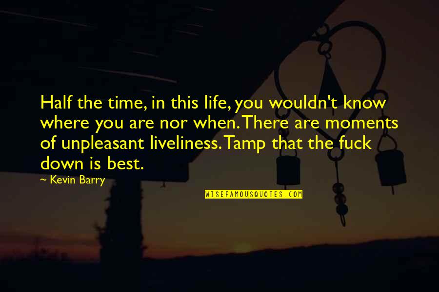 The Best Moments In Life Quotes By Kevin Barry: Half the time, in this life, you wouldn't