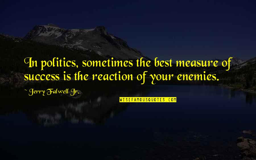 The Best Of Success Quotes By Jerry Falwell Jr.: In politics, sometimes the best measure of success