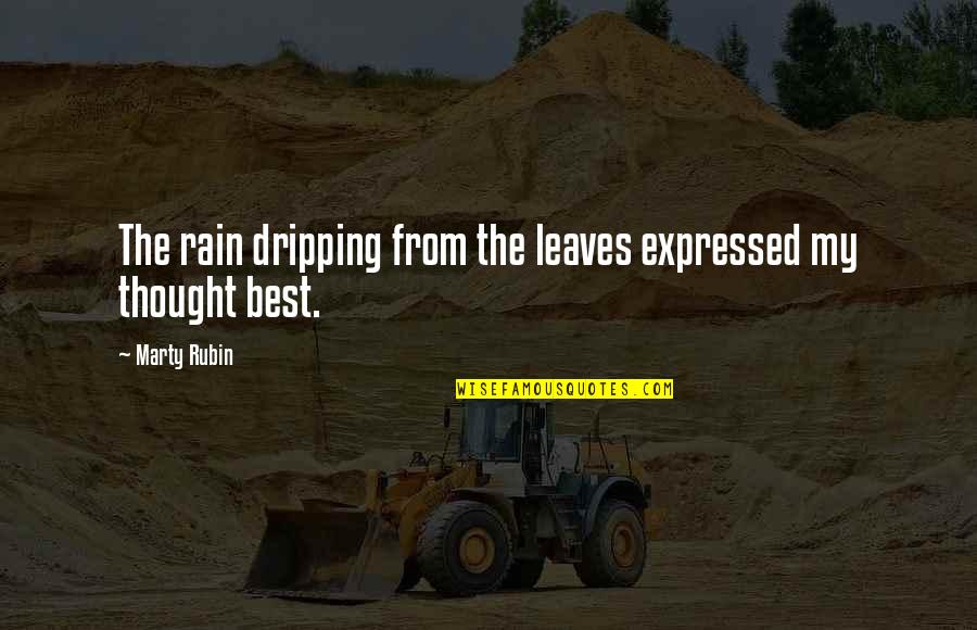 The Best Rain Quotes By Marty Rubin: The rain dripping from the leaves expressed my