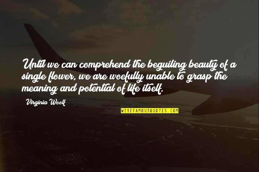 The Best Single Life Quotes By Virginia Woolf: Until we can comprehend the beguiling beauty of