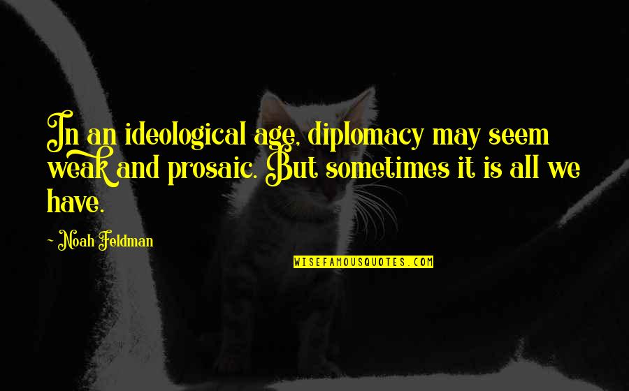 The Best Six Doctors Anywhere Quote Quotes By Noah Feldman: In an ideological age, diplomacy may seem weak