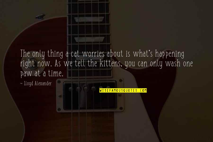 The Best Thing About Time Quotes By Lloyd Alexander: The only thing a cat worries about is