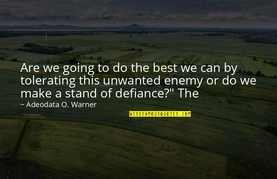 The Best We Can Quotes By Adeodata O. Warner: Are we going to do the best we