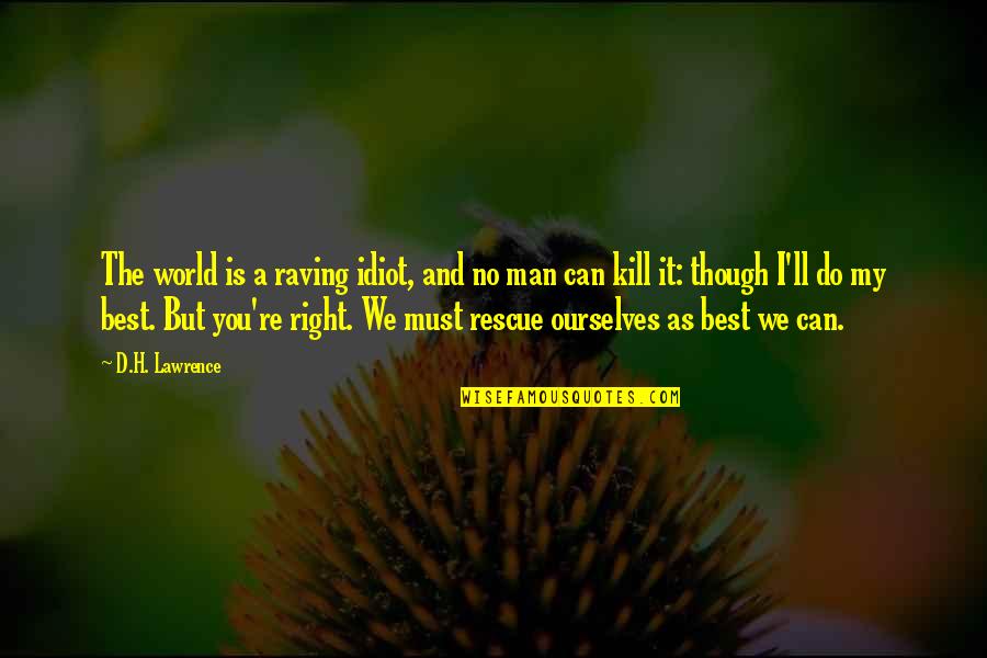 The Best We Can Quotes By D.H. Lawrence: The world is a raving idiot, and no The Best We Can Quotes By D.H. Lawrence: The world is a raving idiot, and no