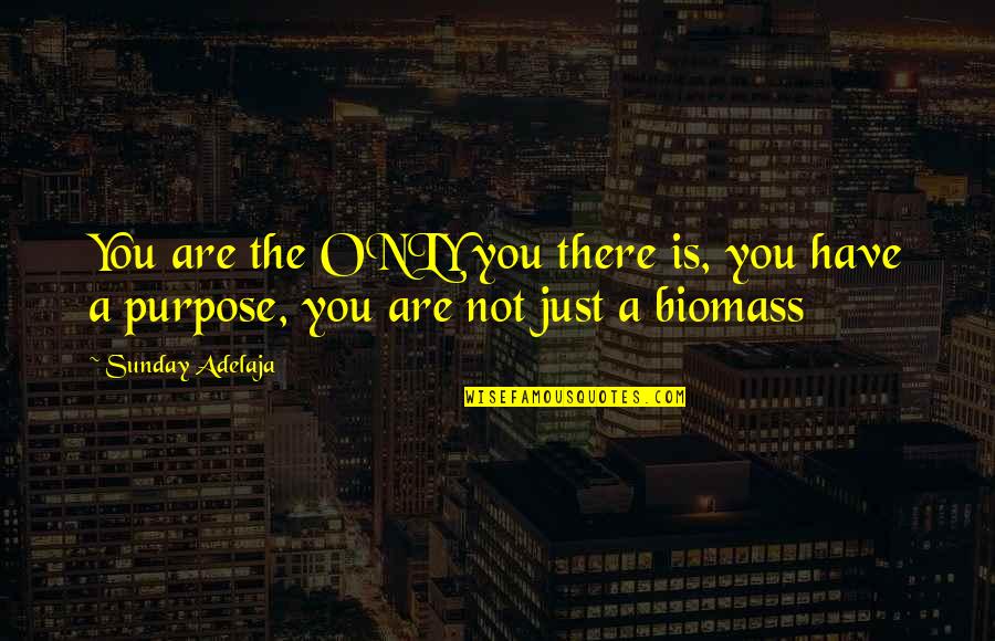 The Bible Mini Series Quotes By Sunday Adelaja: You are the ONLY you there is, you