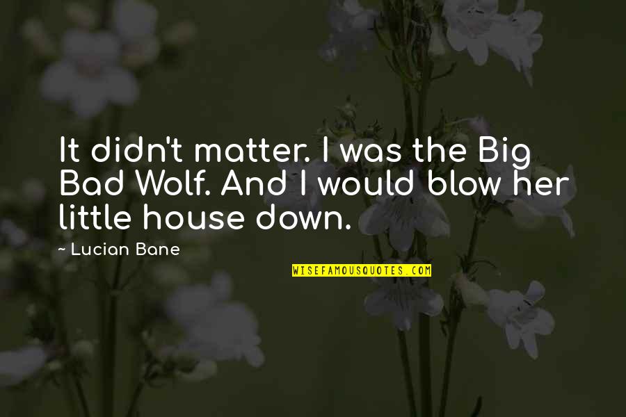 The Big Bad Wolf Quotes By Lucian Bane: It didn't matter. I was the Big Bad