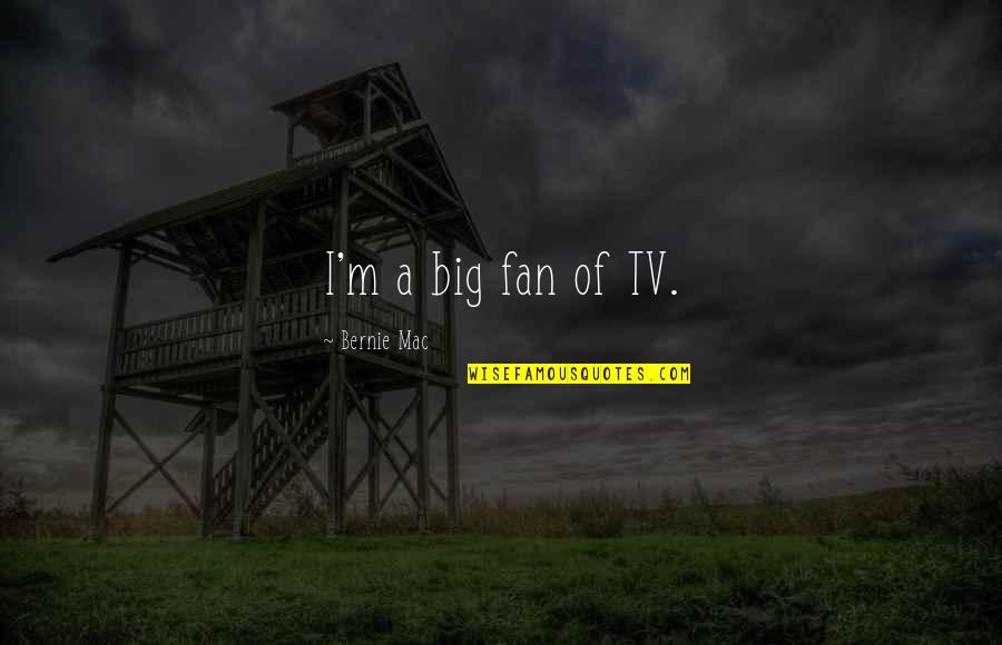 The Big Mac Quotes By Bernie Mac: I'm a big fan of TV.