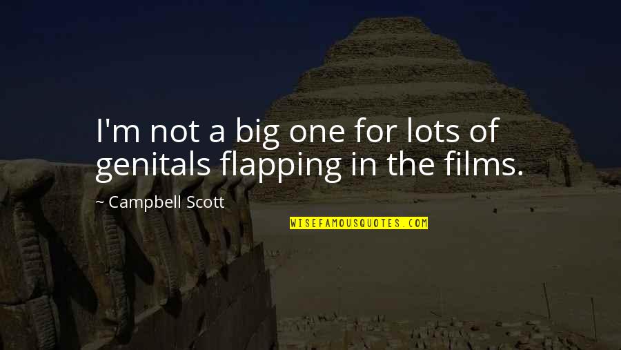 The Big One Quotes By Campbell Scott: I'm not a big one for lots of The Big One Quotes By Campbell Scott: I'm not a big one for lots of