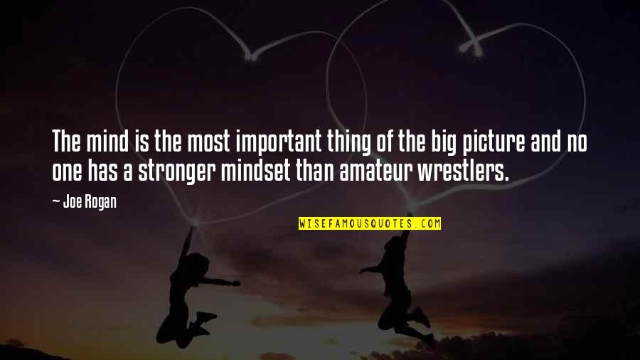 The Big One Quotes By Joe Rogan: The mind is the most important thing of The Big One Quotes By Joe Rogan: The mind is the most important thing of