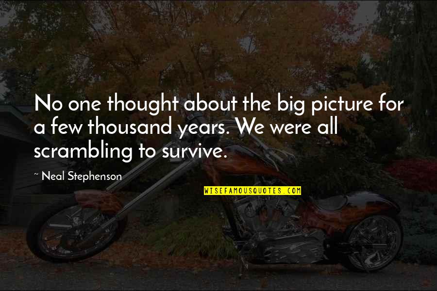 The Big Picture Quotes By Neal Stephenson: No one thought about the big picture for