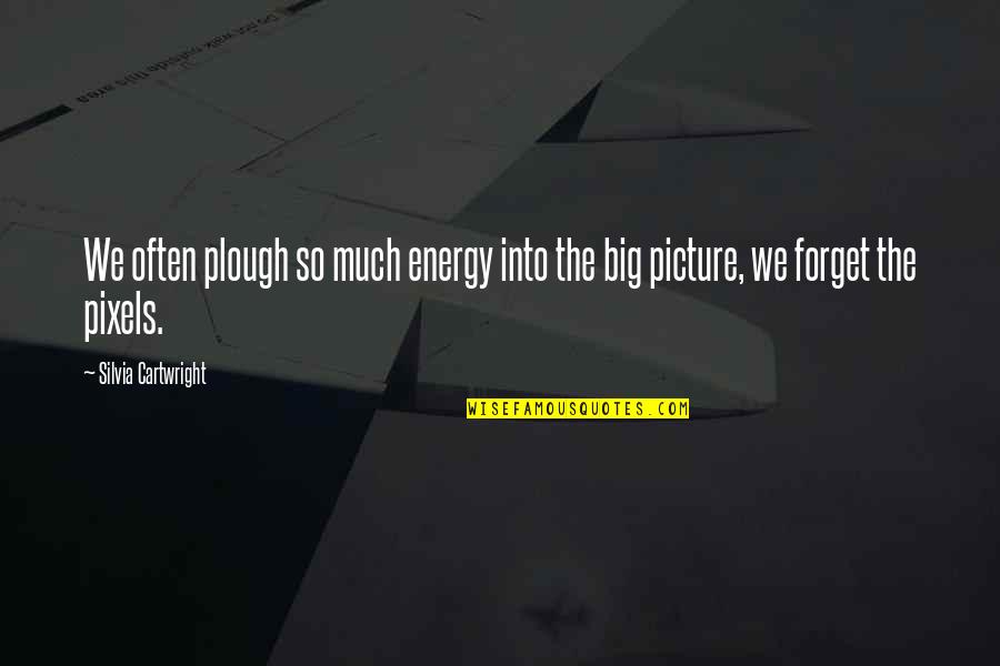 The Big Picture Quotes By Silvia Cartwright: We often plough so much energy into the