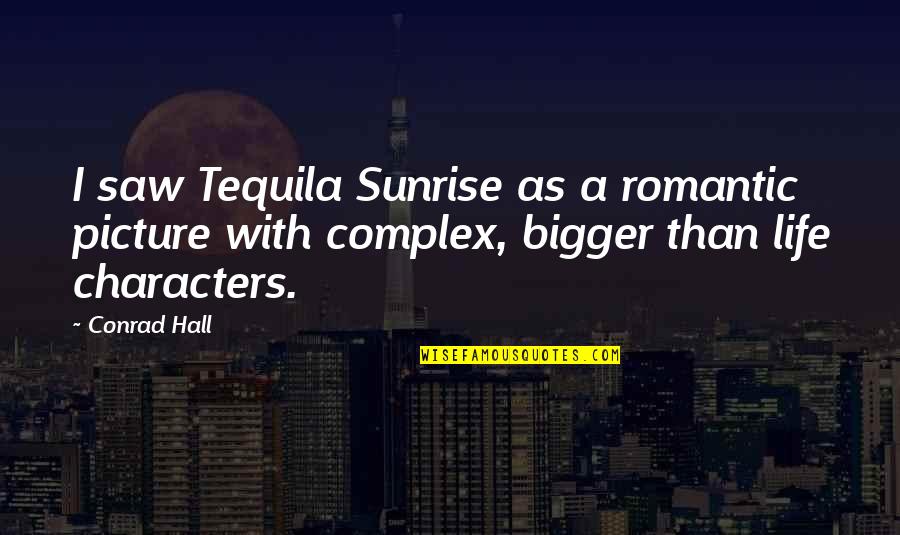 The Bigger Picture Of Life Quotes By Conrad Hall: I saw Tequila Sunrise as a romantic picture