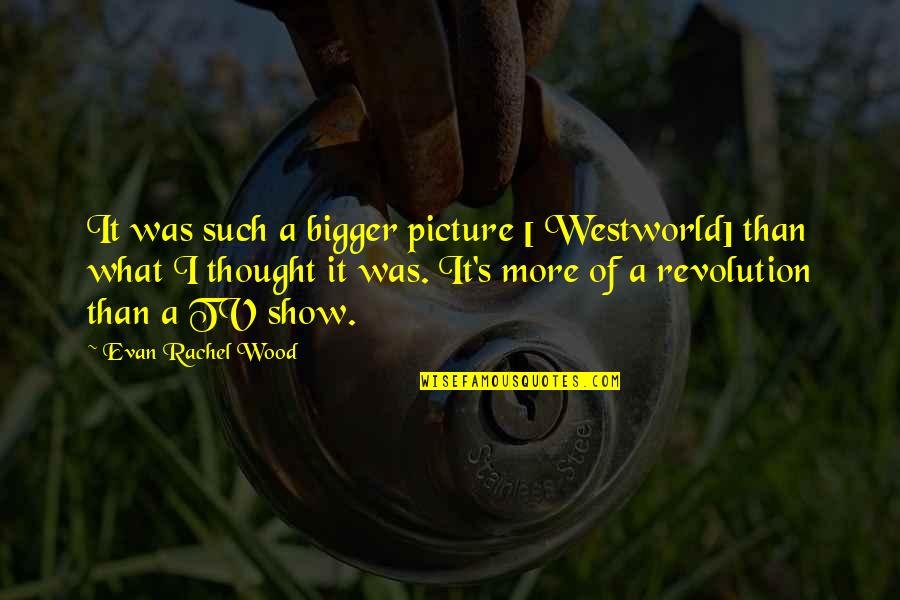 The Bigger Picture Quotes By Evan Rachel Wood: It was such a bigger picture [ Westworld]