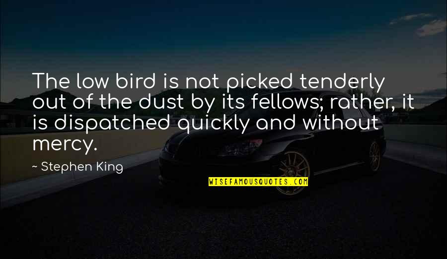 The Bird King Quotes By Stephen King: The low bird is not picked tenderly out The Bird King Quotes By Stephen King: The low bird is not picked tenderly out
