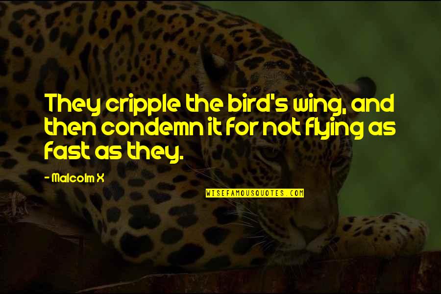 The Bird Quotes By Malcolm X: They cripple the bird's wing, and then condemn