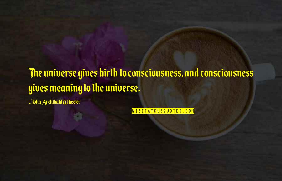 The Birth Of The Universe Quotes By John Archibald Wheeler: The universe gives birth to consciousness, and consciousness