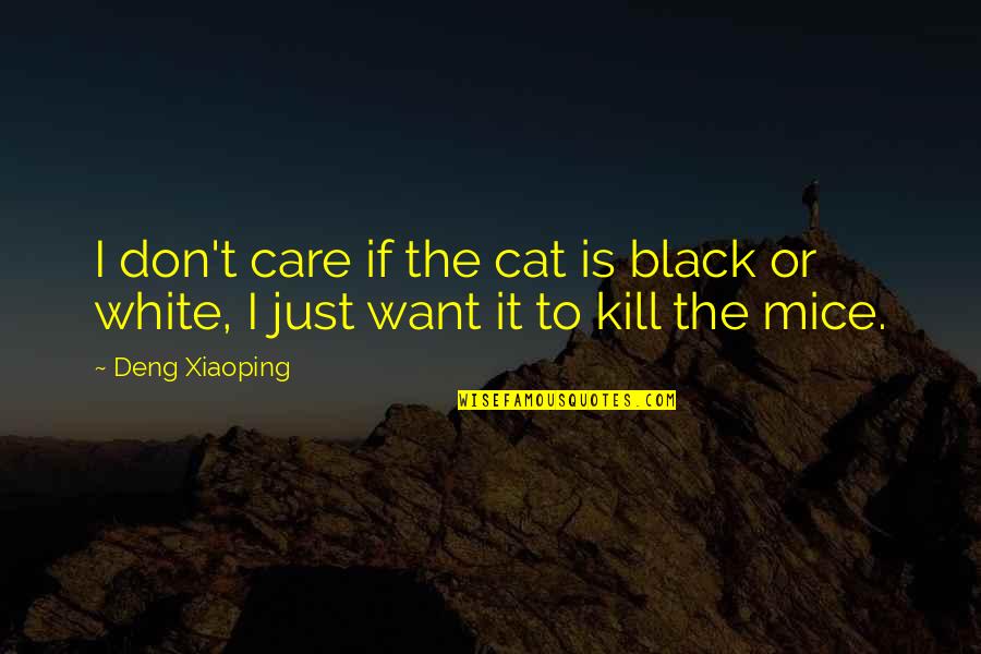 The Black Cat Quotes By Deng Xiaoping: I don't care if the cat is black