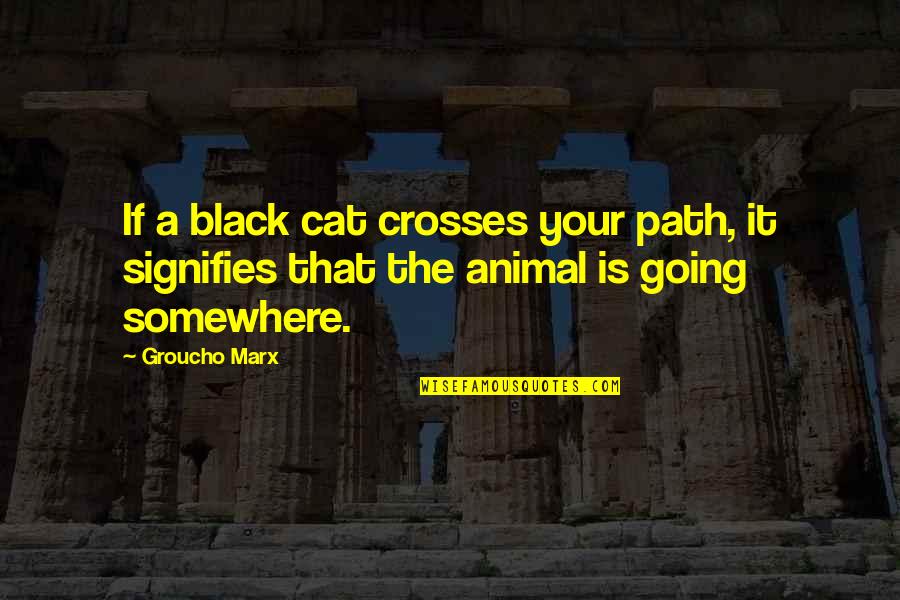 The Black Cat Quotes By Groucho Marx: If a black cat crosses your path, it