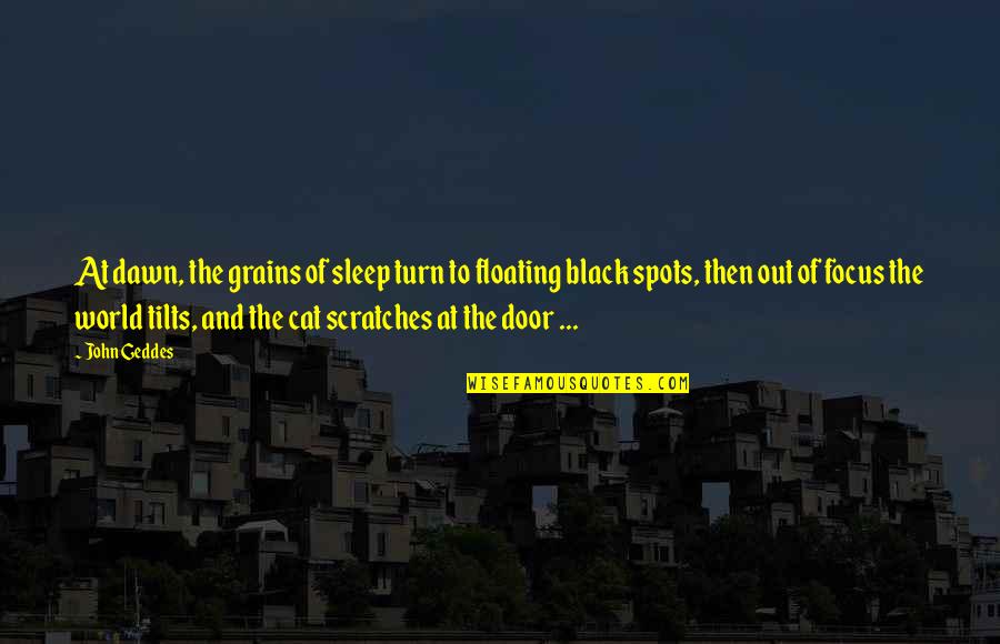 The Black Cat Quotes By John Geddes: At dawn, the grains of sleep turn to