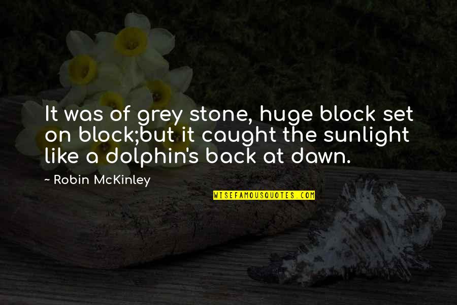The Bluest Eye Best Quotes By Robin McKinley: It was of grey stone, huge block set