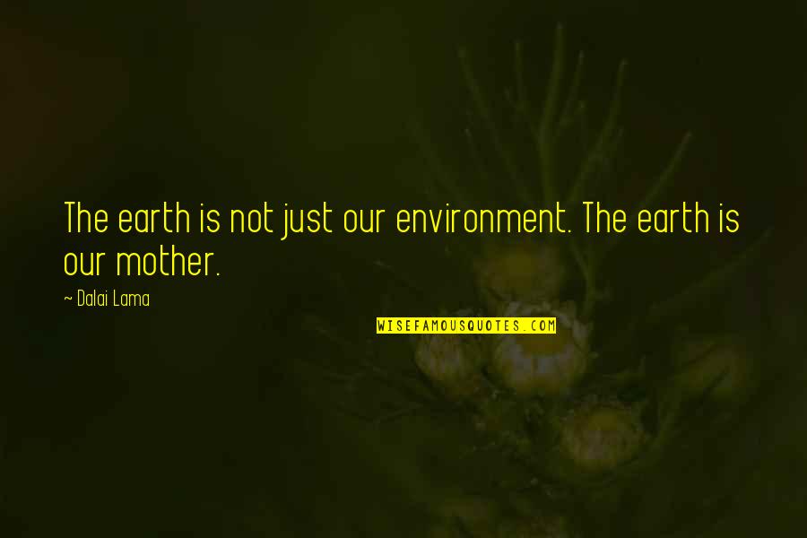 The Bond Between Mother And Child Quotes By Dalai Lama: The earth is not just our environment. The