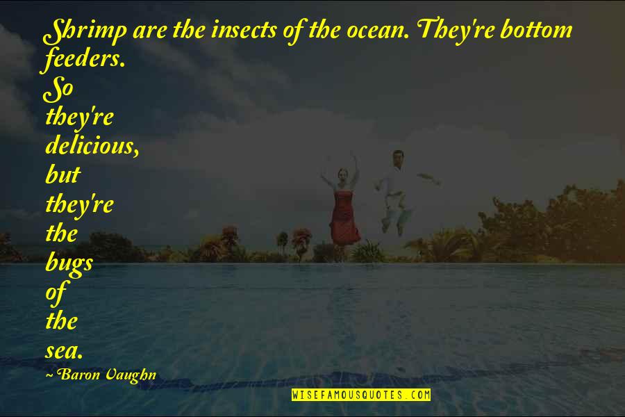 The Bottom Of The Ocean Quotes By Baron Vaughn: Shrimp are the insects of the ocean. They're