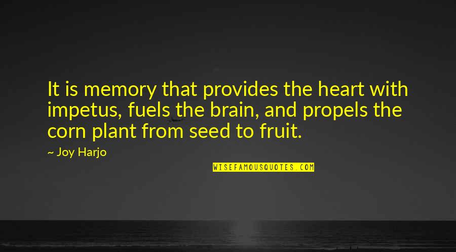 The Brain And Memory Quotes By Joy Harjo: It is memory that provides the heart with
