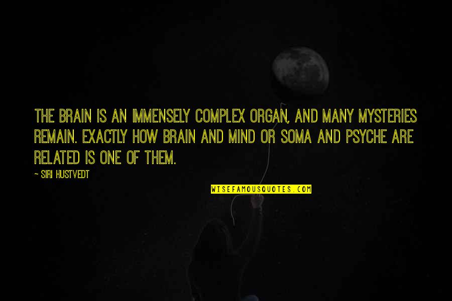 The Brain And Mind Quotes By Siri Hustvedt: The brain is an immensely complex organ, and