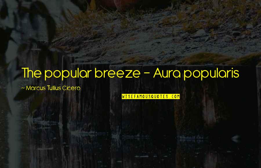 The Breeze Quotes By Marcus Tullius Cicero: The popular breeze - Aura popularis