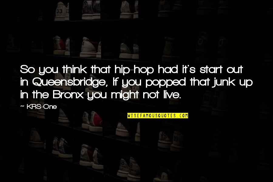 The Bronx Quotes By KRS-One: So you think that hip-hop had it's start