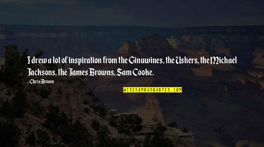 The Browns Is The Browns Quotes By Chris Brown: I drew a lot of inspiration from the