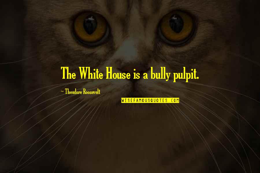 The Bully Quotes By Theodore Roosevelt: The White House is a bully pulpit.