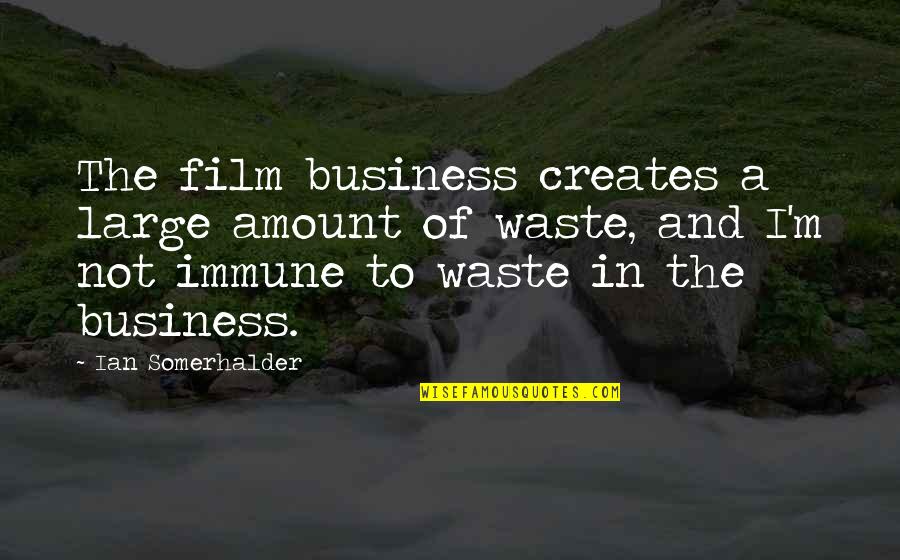 The Business Film Quotes By Ian Somerhalder: The film business creates a large amount of