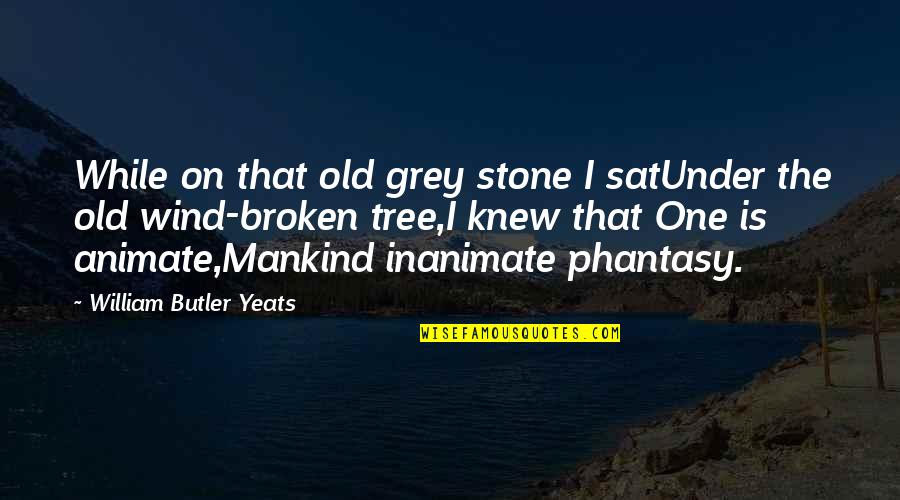 The Butler Quotes By William Butler Yeats: While on that old grey stone I satUnder