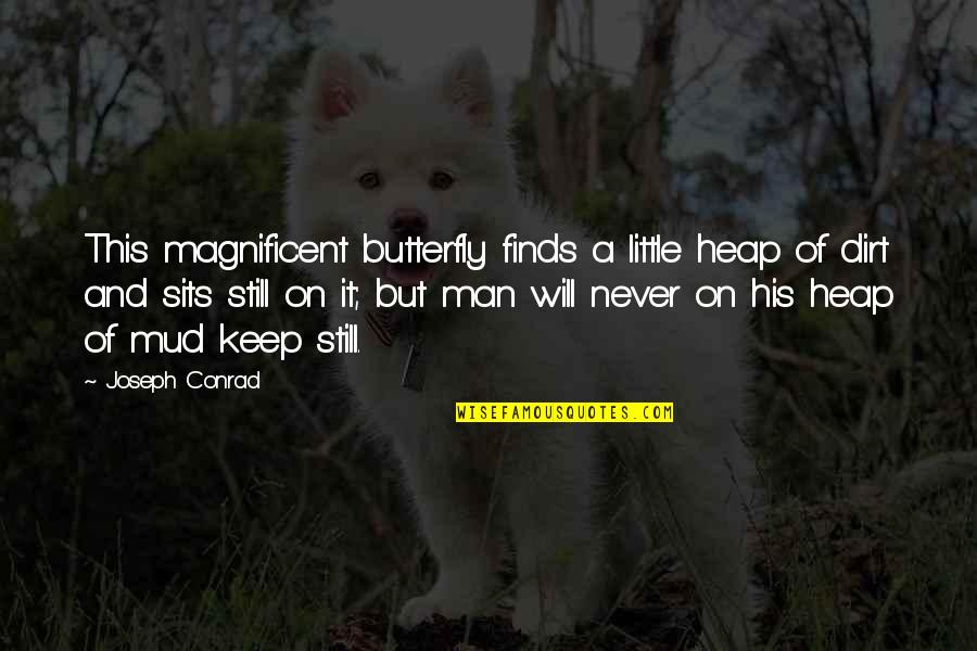 The Butterfly Man Quotes By Joseph Conrad: This magnificent butterfly finds a little heap of The Butterfly Man Quotes By Joseph Conrad: This magnificent butterfly finds a little heap of