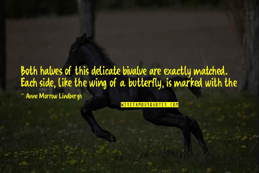 The Butterfly Quotes By Anne Morrow Lindbergh: Both halves of this delicate bivalve are exactly