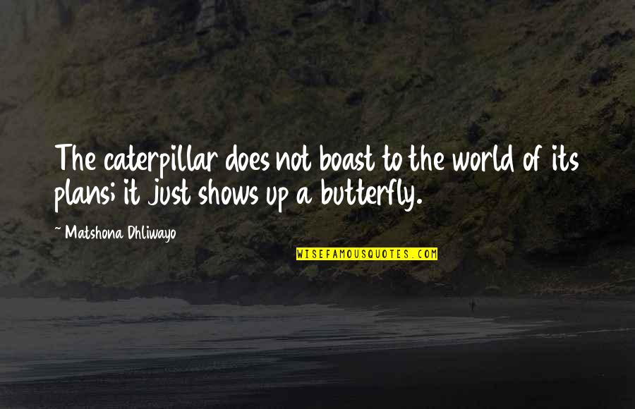 The Butterfly Quotes By Matshona Dhliwayo: The caterpillar does not boast to the world