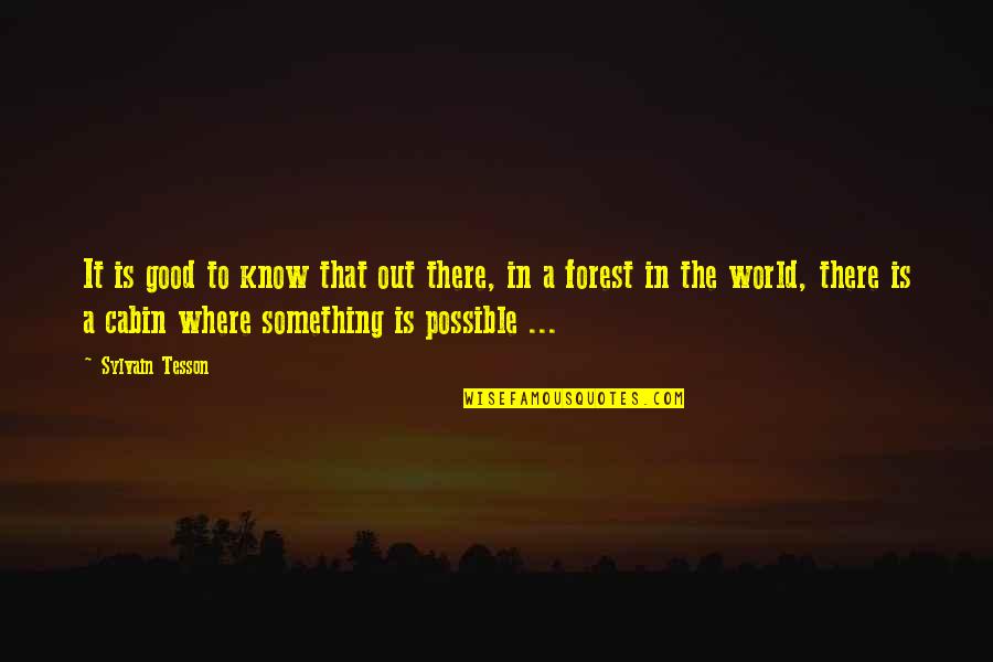 The Cabin Quotes By Sylvain Tesson: It is good to know that out there,