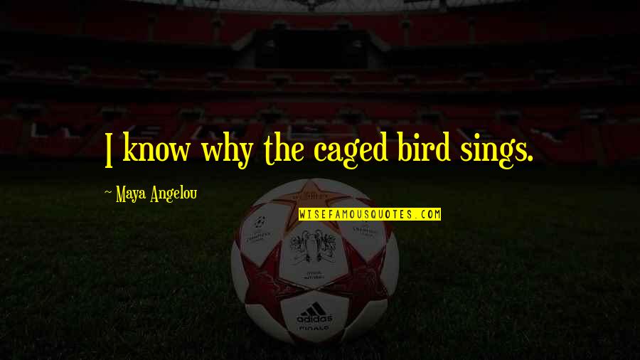 The Caged Bird Quotes By Maya Angelou: I know why the caged bird sings.