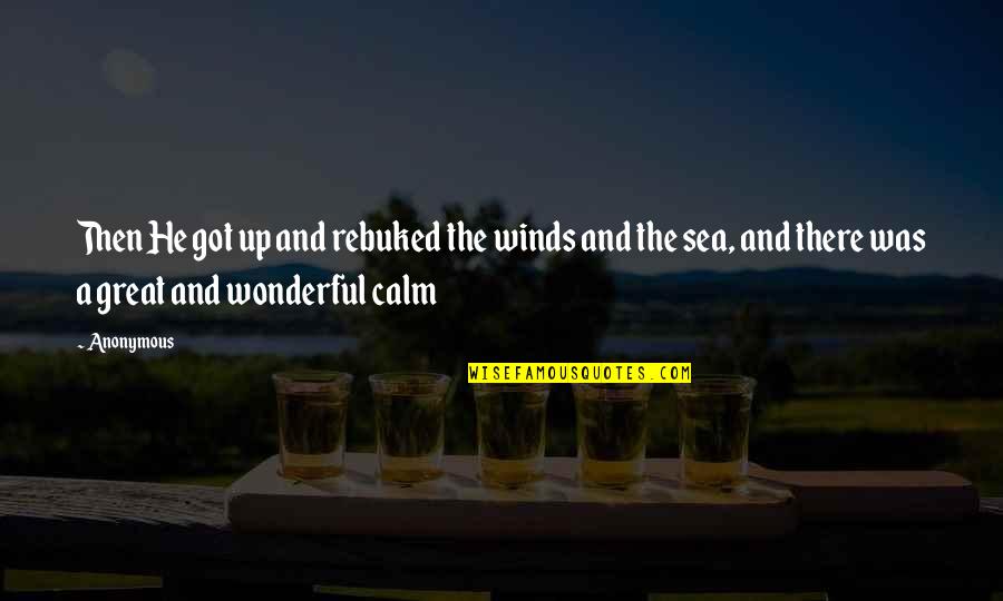 The Calm Sea Quotes By Anonymous: Then He got up and rebuked the winds