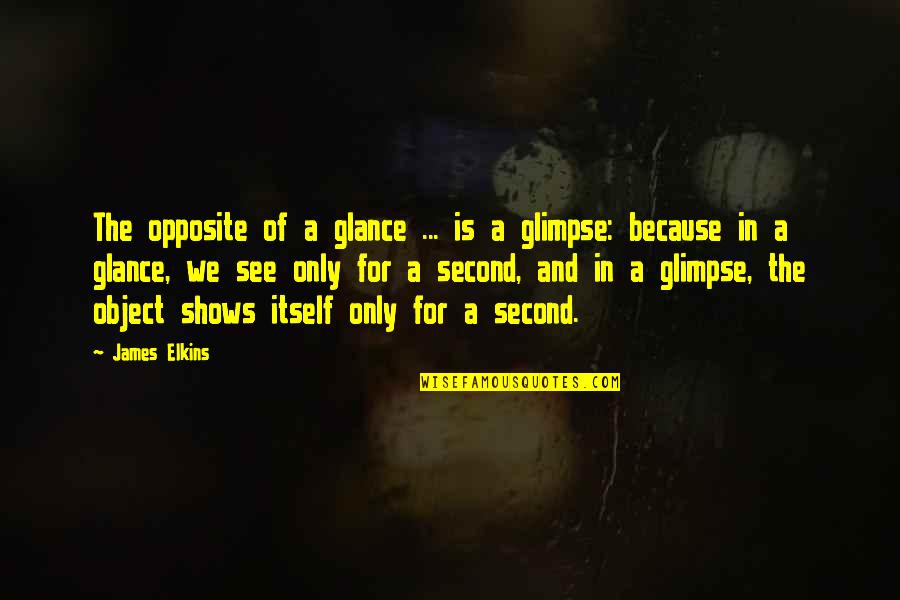 The Calmness Of Nature Quotes By James Elkins: The opposite of a glance ... is a