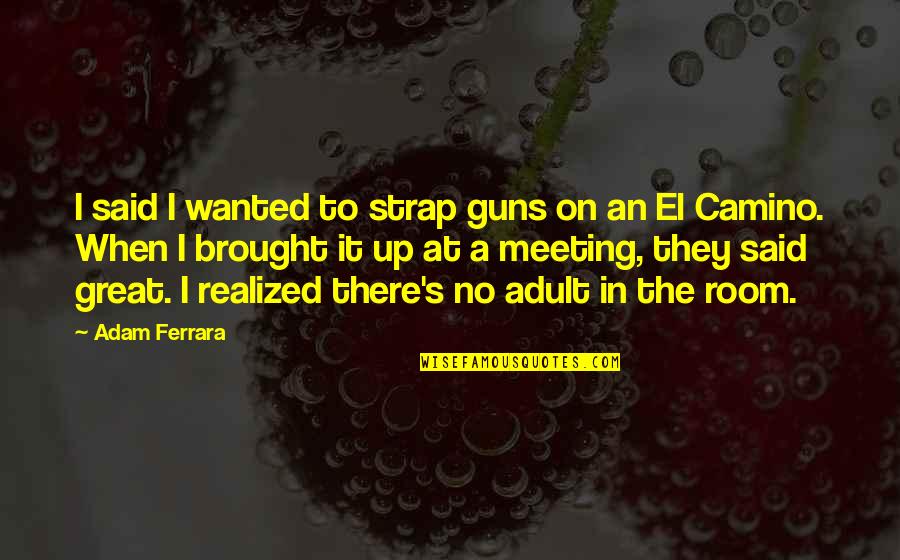 The Camino Quotes By Adam Ferrara: I said I wanted to strap guns on