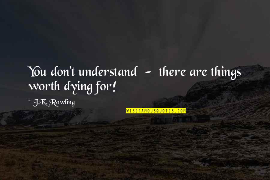 The Carolinas Quotes By J.K. Rowling: You don't understand - there are things worth