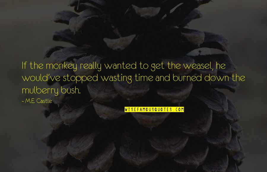 The Castle Quotes By M.E. Castle: If the monkey really wanted to get the