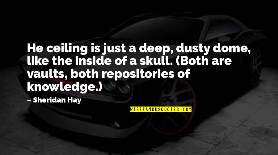 The Ceiling Quotes By Sheridan Hay: He ceiling is just a deep, dusty dome, The Ceiling Quotes By Sheridan Hay: He ceiling is just a deep, dusty dome,